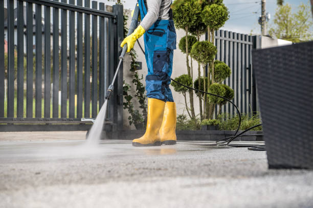 Best Roof Pressure Washing  in Williamstown, NJ